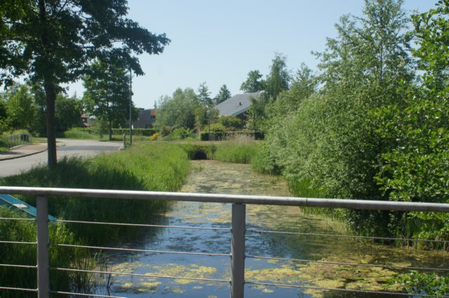 dsc00730.jpg