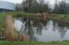 dsc09831_small.jpg
