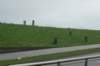 dsc09840_small.jpg
