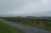 dsc09844_small.jpg