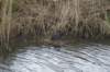 dsc09846_small.jpg