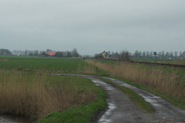 dsc09847.jpg