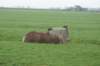 dsc09848_small.jpg