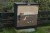 dsc09851_small.jpg