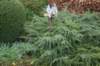 dsc09854_small.jpg