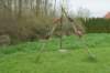 dsc09856_small.jpg