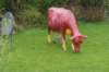 dsc09858_small.jpg