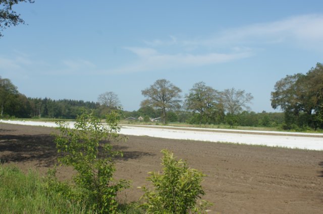 dsc00579.jpg