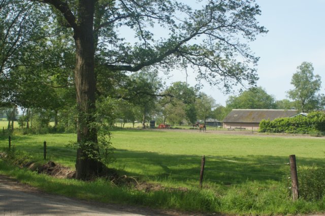 dsc00605.jpg