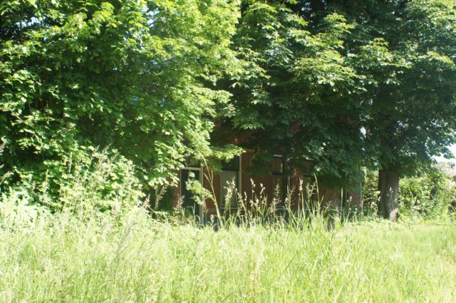 dsc00840.jpg