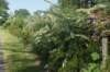 dsc00853_small.jpg