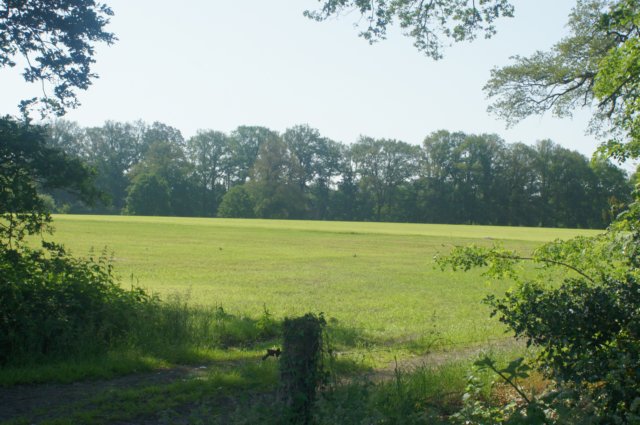 dsc00854.jpg