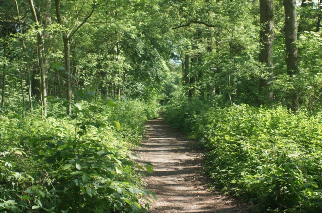 dsc00862.jpg