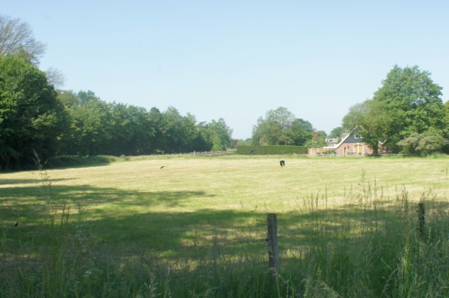 dsc00877.jpg