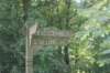 dsc01465_small.jpg