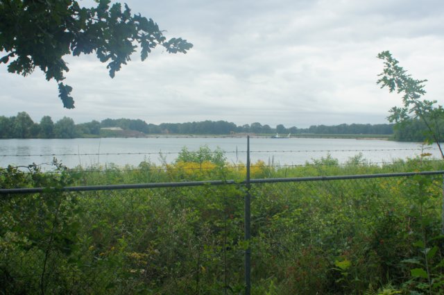 dsc01489.jpg