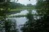 dsc01493_small.jpg