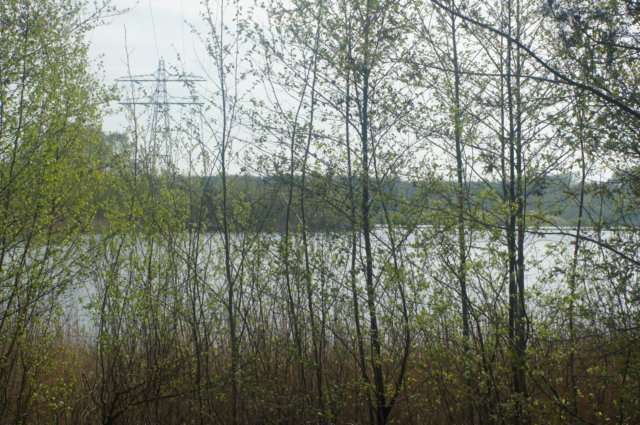 dsc00006.jpg