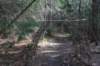 dsc00020_small.jpg