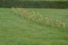 dsc00217_small.jpg
