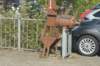 dsc00505_small.jpg