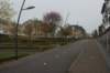 dsc02725_small.jpg
