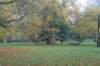 dsc02736_small.jpg