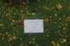 dsc02738_small.jpg