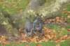dsc02740_small.jpg