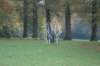 dsc02743_small.jpg
