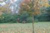 dsc02744_small.jpg