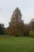 dsc02746_small.jpg