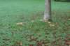 dsc02747_small.jpg