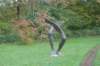 dsc02748_small.jpg