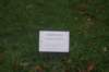 dsc02749_small.jpg