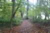 dsc02750_small.jpg