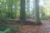 dsc02751_small.jpg