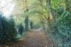 dsc02752_small.jpg