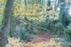 dsc02755_small.jpg