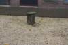dsc02797_small.jpg