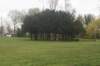 dsc09891_small.jpg