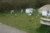 dsc09927_small.jpg