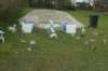 dsc09928_small.jpg