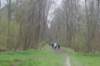 dsc09947_small.jpg