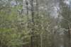 dsc09953_small.jpg