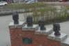 dsc09978_small.jpg