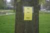 dsc09988_small.jpg
