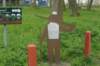 dsc00169_small.jpg