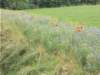 dscn0100_small.jpg