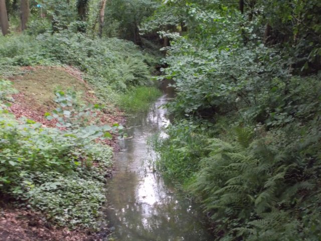 dscn0104.jpg